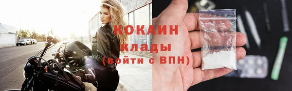 крисы Балахна