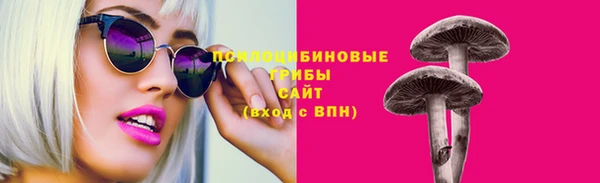 крисы Балахна