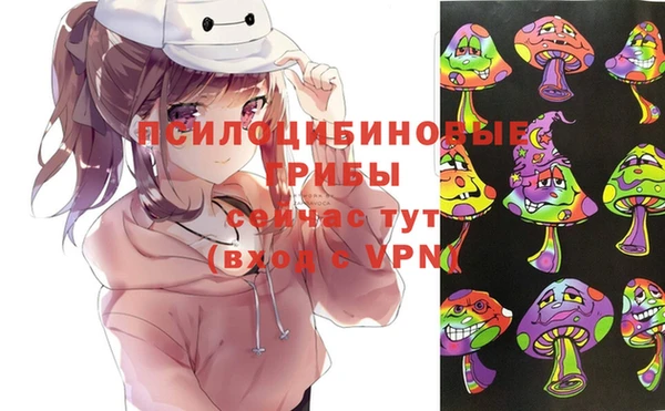 крисы Балахна